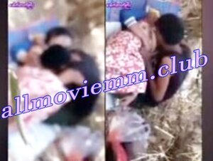 တောထဲမှာအမုန်းလိုးတဲ့ဘဲ ချောင်းရိုက်